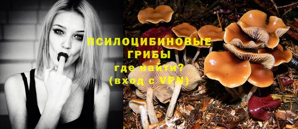 первитин Белоозёрский